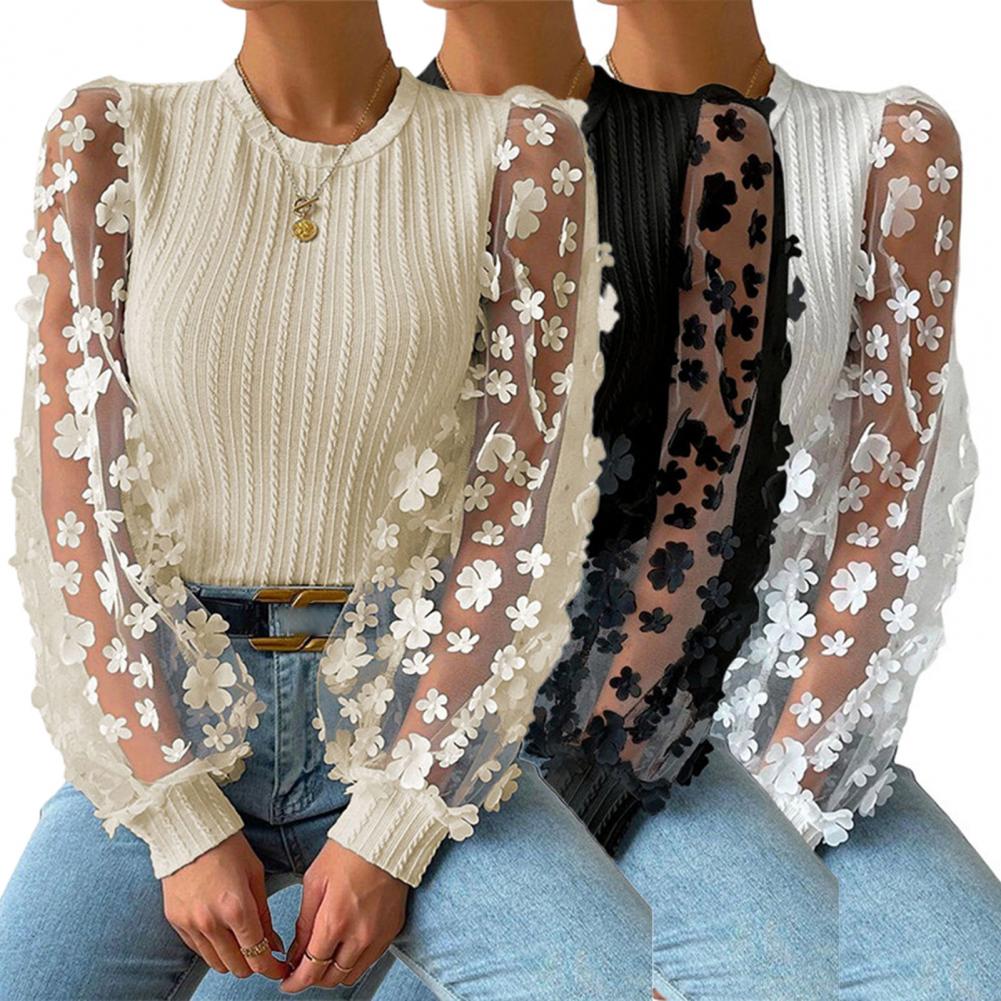 Dámská košile Průhledná síťovina Květinová Nášivka Kulatý výstřih Dlouhý rukáv Jednobarevný Pulovr Měkký patchwork Twist Textura OL Commut