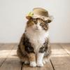 Adjustable Pet Sun Hat Lace Decor Dog Sun Protection Cap Fashion Cat Sunshade Hat  Walking Hiking