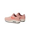 Кроссовки Nike Air Max 1 Prm