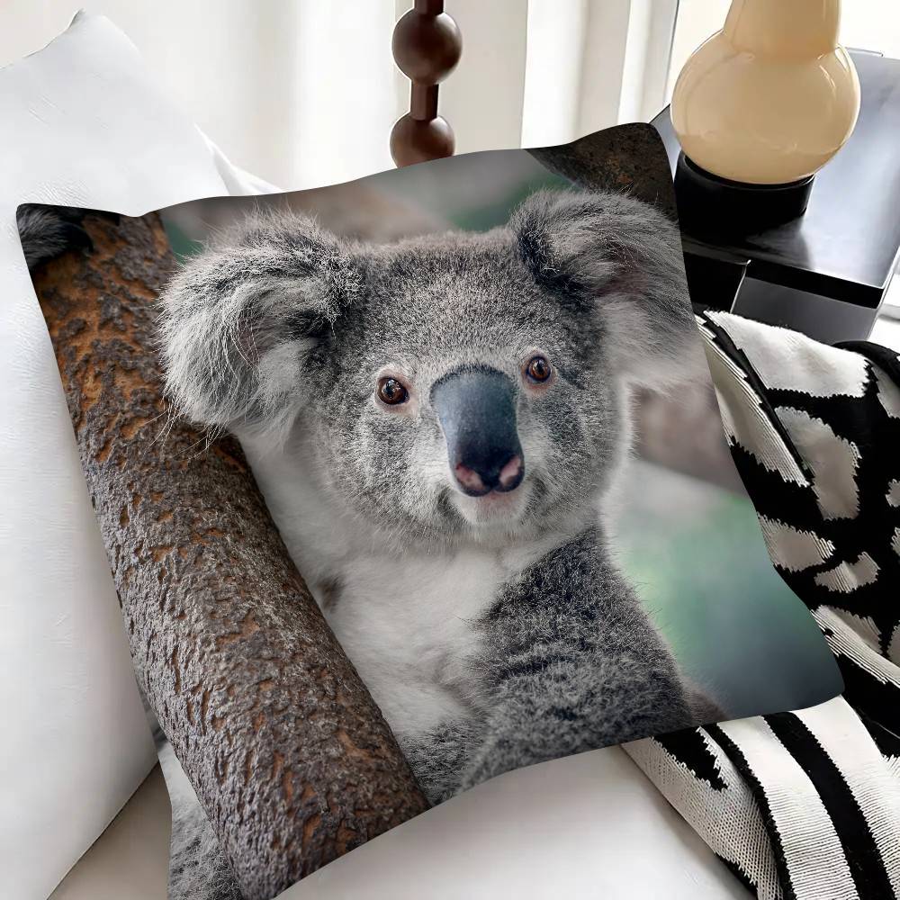 Süßer Koala Kissenbezug Modischer Quadratischer Kissenbezug Schlafzimmer Sofa Raum Ins Dekoration Freizeit