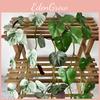 Synthetic Green Plant Background With Colorful Vines And Leaves For Home Ornaments And Photo Shoots