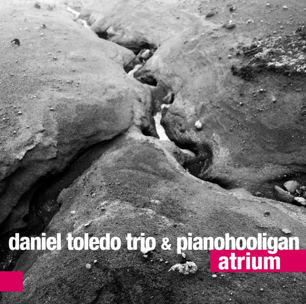 

CD DANIEL TOLEDO TRIO PIANOHOOLIGAN Atrium 0121077 For Tune 2017 Poland Jazz Used