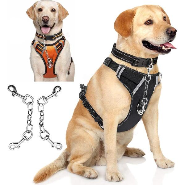 Dog Collar Safety Clip Metal Clasp Double Ended Connector 2 Pack Prong Chew Proof Backup Dog Clip for Pet Harness Collar Leash Necklaces Dog Strap
