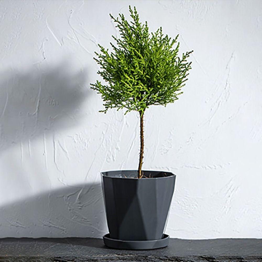 

3 Set Resin Succulents Pot Round Plant Pot Creative Gardening Pots Balcony S