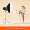 Godox SL200IIIBi Bi-Color LED Video Light Kit