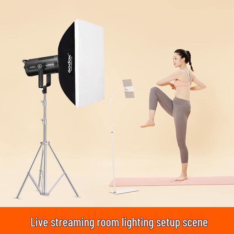 Godox SL200IIIBi Bi-Color LED Video Light Kit