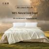 Taihu Snow 100% Pure Silk Comforter - Two-in-One Set
