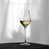 Tulp Champagneglas