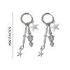 2023 Star Long Tassels Earrings Personality Ear Jewelry Fashion Ear Decorations