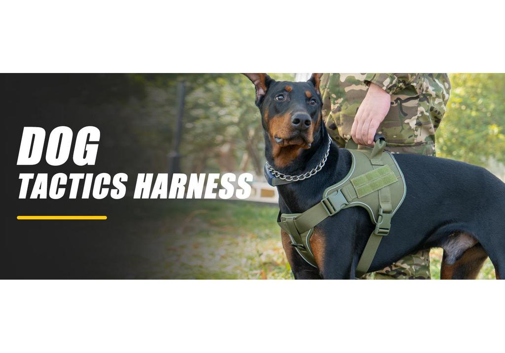Tactical Anti-Pull Dog Harness & Leash for Medium to Large Breeds - Ideal for Border Collies & Golden Retrievers