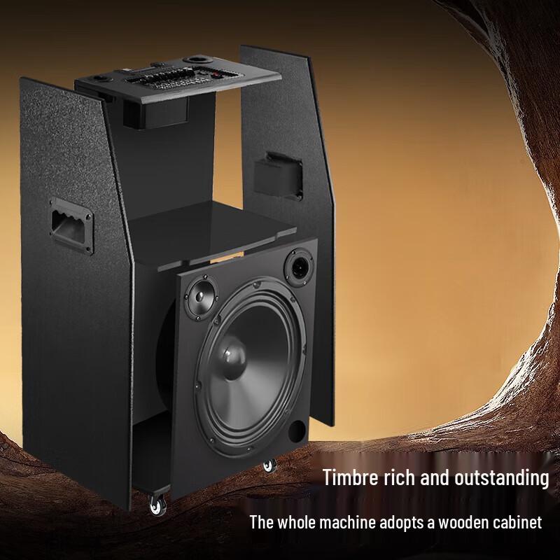 SAST Home KTV Karaoke Machine with 22-inch Display