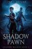 Shadow Pawn Shadow Walker book 2 by Jina S Bazzar Paperback Book 9798371077189