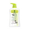 Dettol Jasmine Green Tea Shower Gel