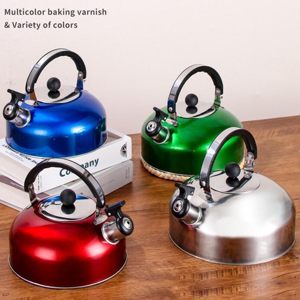 Stylish Whistling Kettle 3L Stainless Steel for Gas Electric Induction