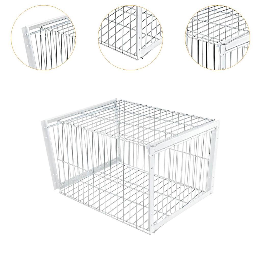 Gaiola Armadilha Grande para Pássaros Recinto de Ferro para Captura de Pombo Frango Pomba Fazendas Jardins Suprimentos Animais ao Ar Livre