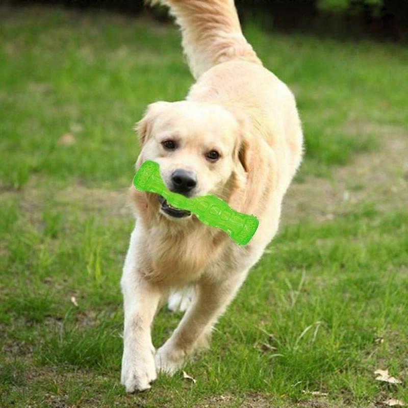 Active Chew Toy for Teeth Cleaning (Green)Pet Dog Toy Ball Dog Toy