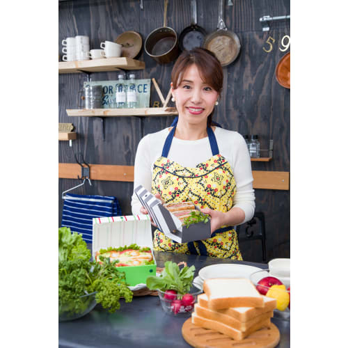 Hosho Pane Pacco Sandwich Case, Striped/Nero, PP-308-STB