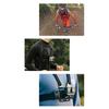 Cameras Chest Harness Set Length Adjustable Breathable Elastic 5 In 1 Smartphone Chest Mount for