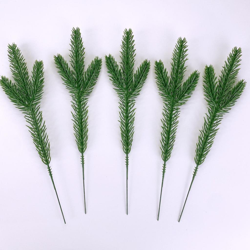 Natural Dried Pine Cones for Christmas Tree Decoration, Photography Props, Floral Wreaths, and Bouquets.