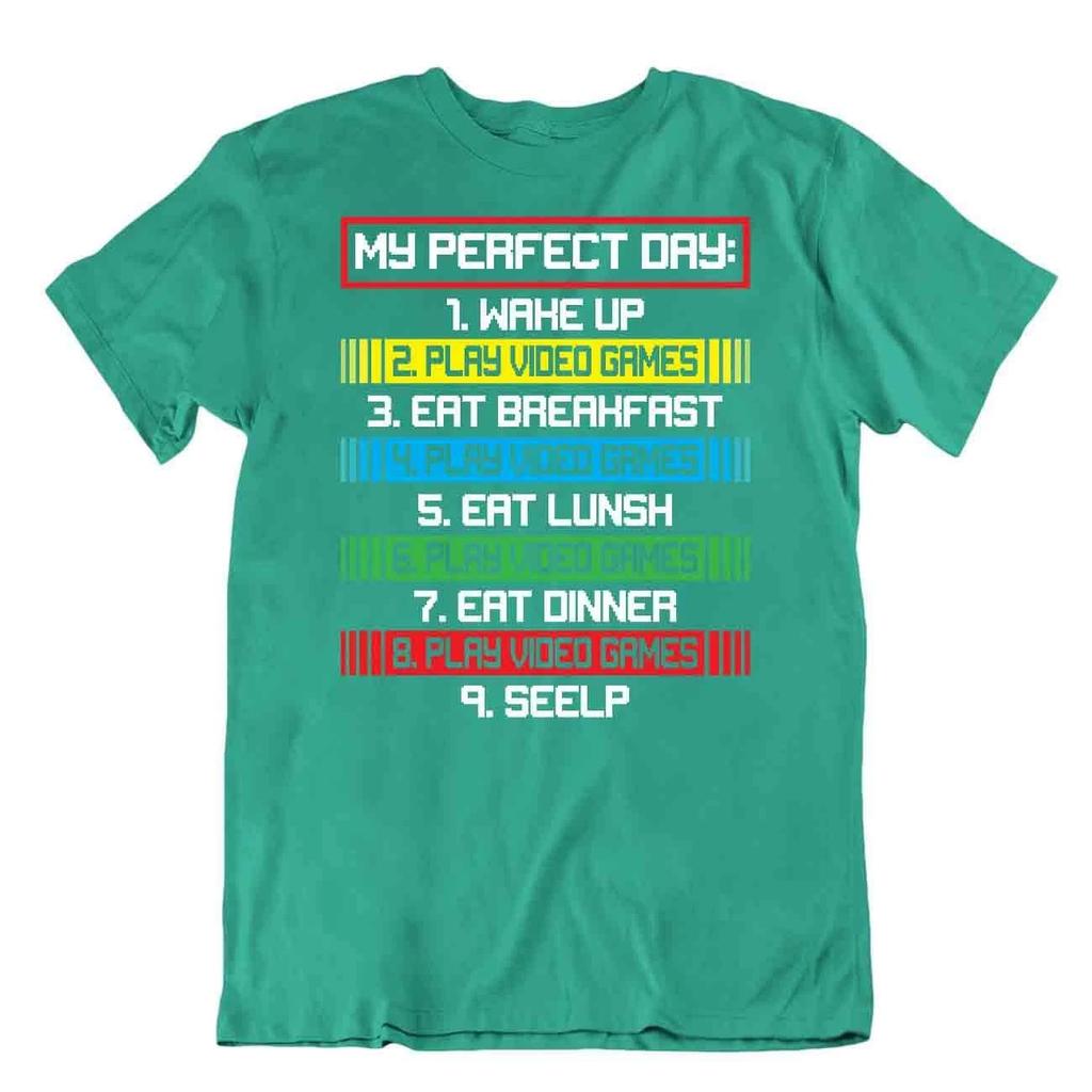 Gamer Perfect Day Tshirt Novelty Science T-Shirt Plaything Shirt