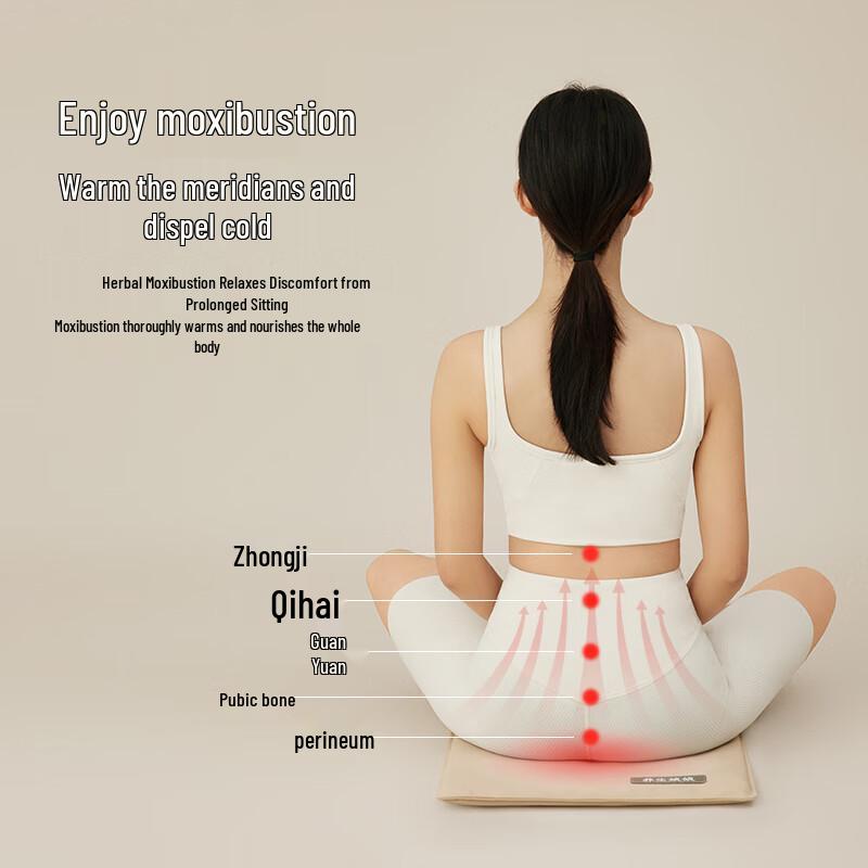 

Zuodian x Yangshengnianniang Heated Waist & Back Cushion