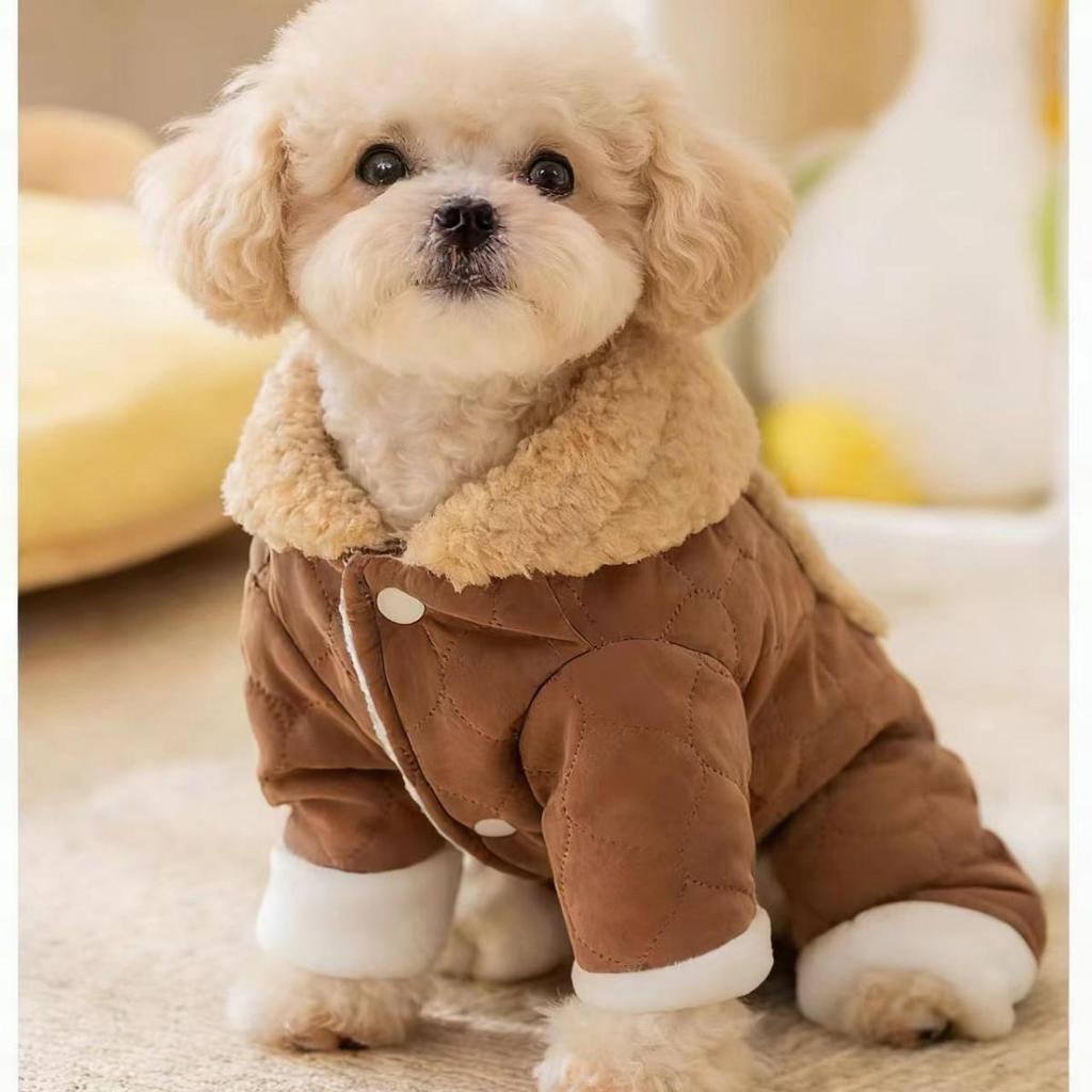 Winter Cotton Four-Legged Clothes for Small Dogs: Suitable for Bichon, Teddy, Schnauzer, and Pomeranian Breeds