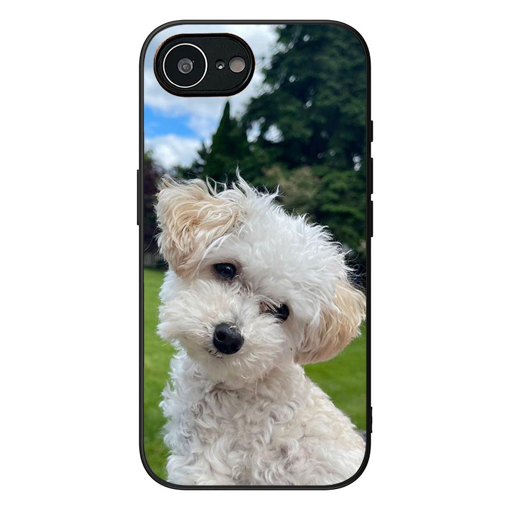 Bichon Frise Pomeranian Dog Phone Case for Samsung Galaxy A06 A05 A14 A50 A51 A52 A12 A13 A23 A70 A07 A25 A26 A72 A56 Cover