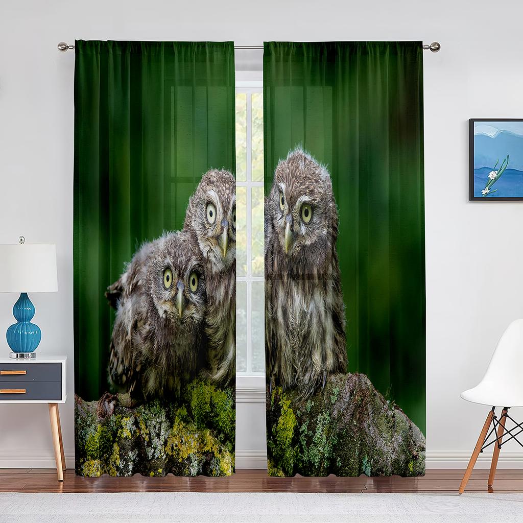 Zwierzę Sowa Zbliżenie Pióra Duże Oczy Przezroczyste Zasłony do Dekoracji Salonu Sypialni Okna Woale Szyfon Tiul Zasłony