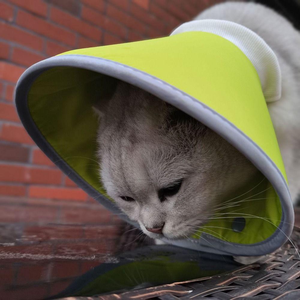 Lightweight Elizabethan Collars Anti-bite Cat Wound Recovery Sleeve Cute Cat Cone Collar  Dogs