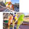 6 Stück gemischte Farben Papagei künstliche Vögel Schaumstoff mit Clips Simulationsvogelmodell Handwerk Foto Requisiten Falscher Wellensittich Vogel