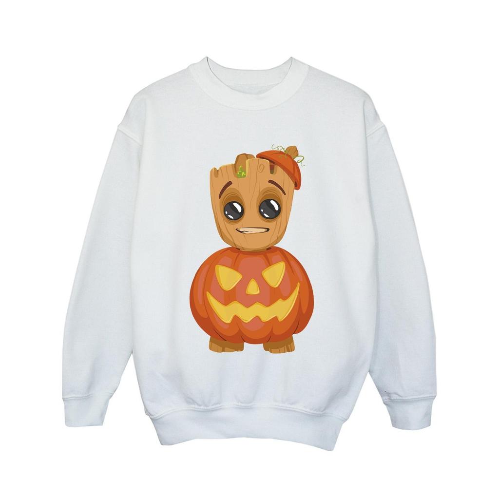 Marvel Girls Groot Pumpkin Sweatshirt
