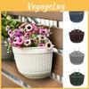 Decorative Wall Hanging Plant Pot With Two Hooks For A Lively Garden Environment