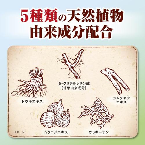 Fresh Leaf (Shoyo) Trial Size Medicinal Toothpaste to Prevent Periodontal Disease, Japanese and Chinese Herbal Flavor, 40g