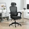 Ergonomic Office Chair, Mesh High Back Desk Chair with Adjustable Lumbar Support and Headrest, Footrest