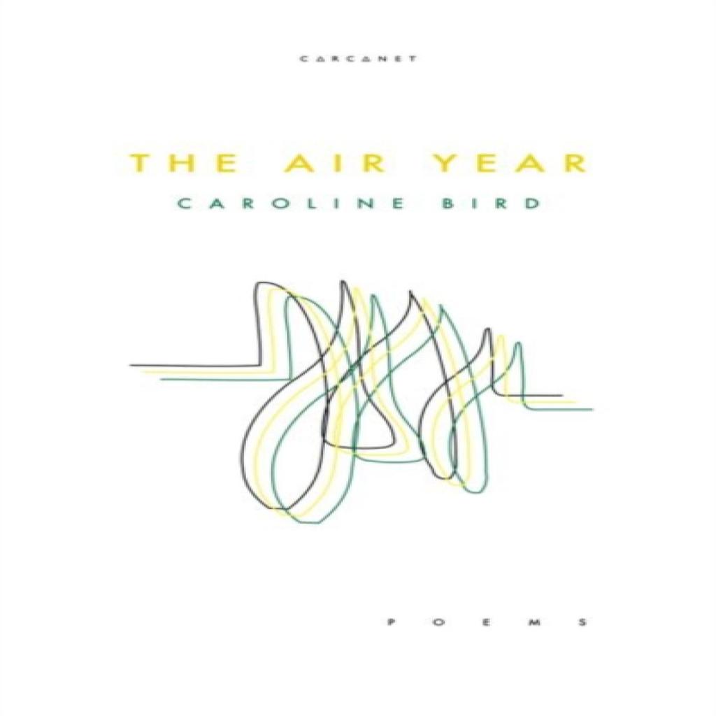 The Air Year by Caroline Bird Paperback Book 9781784109028