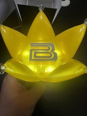 Brand BIGBANG Official Light Stick Black w Box K-POP Concert Japan