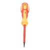 Chrome Vanadium Steel Screwdriver with Ergonomic Handle and Magnetic Tips