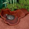 Reptilien Wasserbecken Aquarium Schildkröte Kletter Haustierbecken Einsiedlerkrebs Badebecken mit Rampe Reptilien Wasserschale für Schildkröte Bartagame