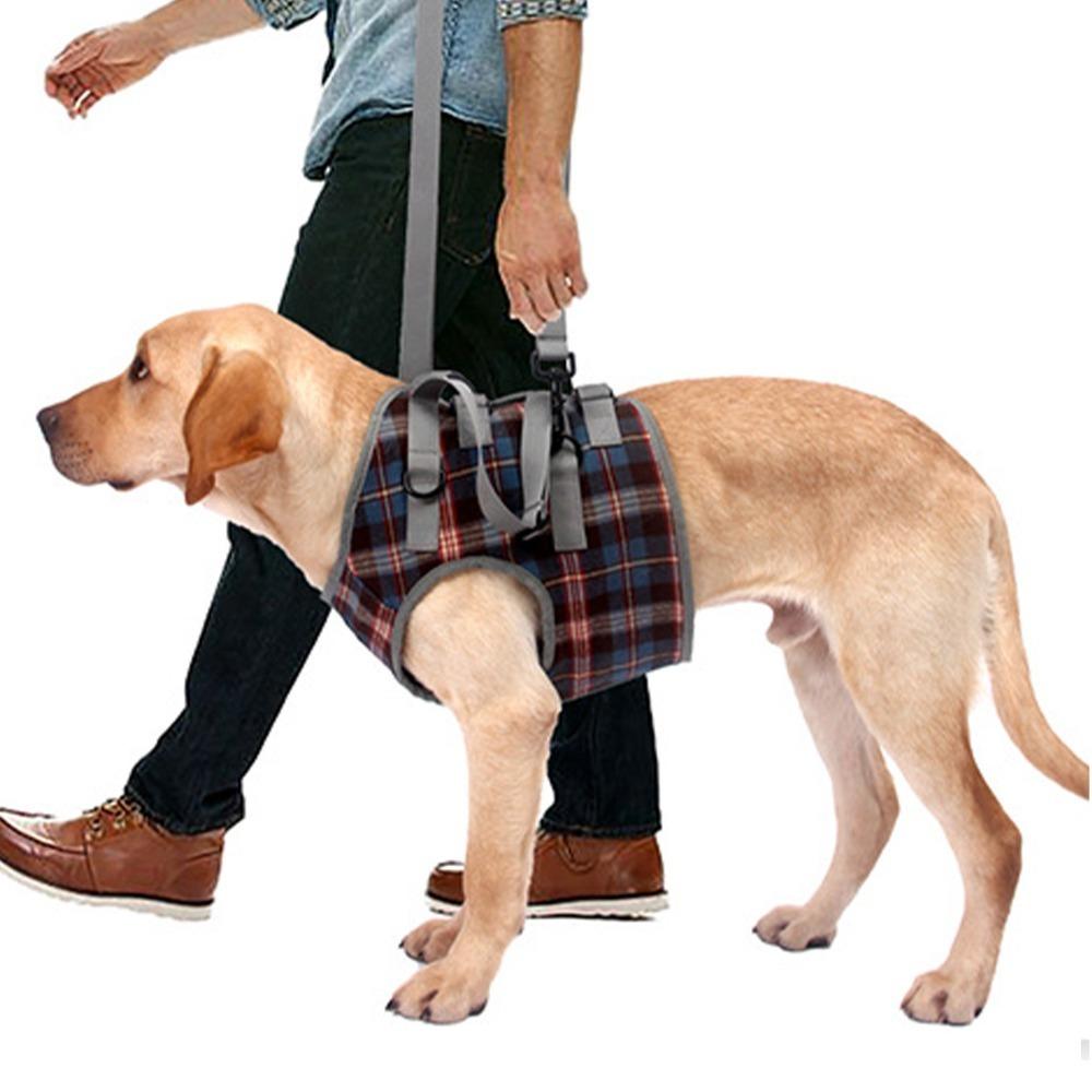 Soft Fabric Dog Leg Support Harness Multi Sizes Disabled Dog Mobility Strap Arthritic Old Dog Walk