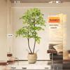Large Indoor Potted Nandina Domestica Faux Plant - Luxury Green Décor for Living Room