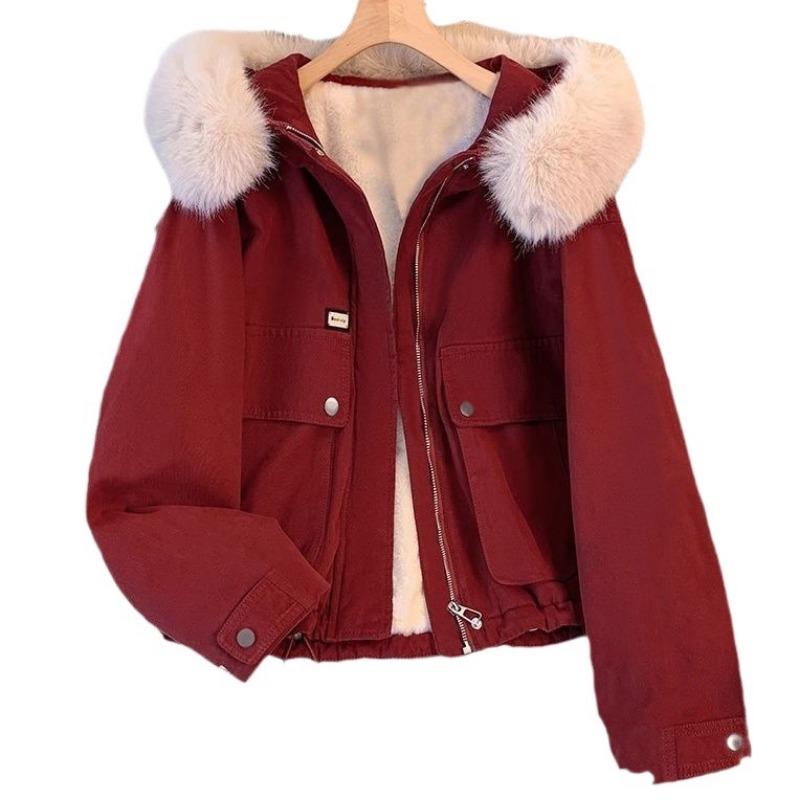 Fashion big fur collar plush thickened jacket women's short winter new loose casual cotton clothes