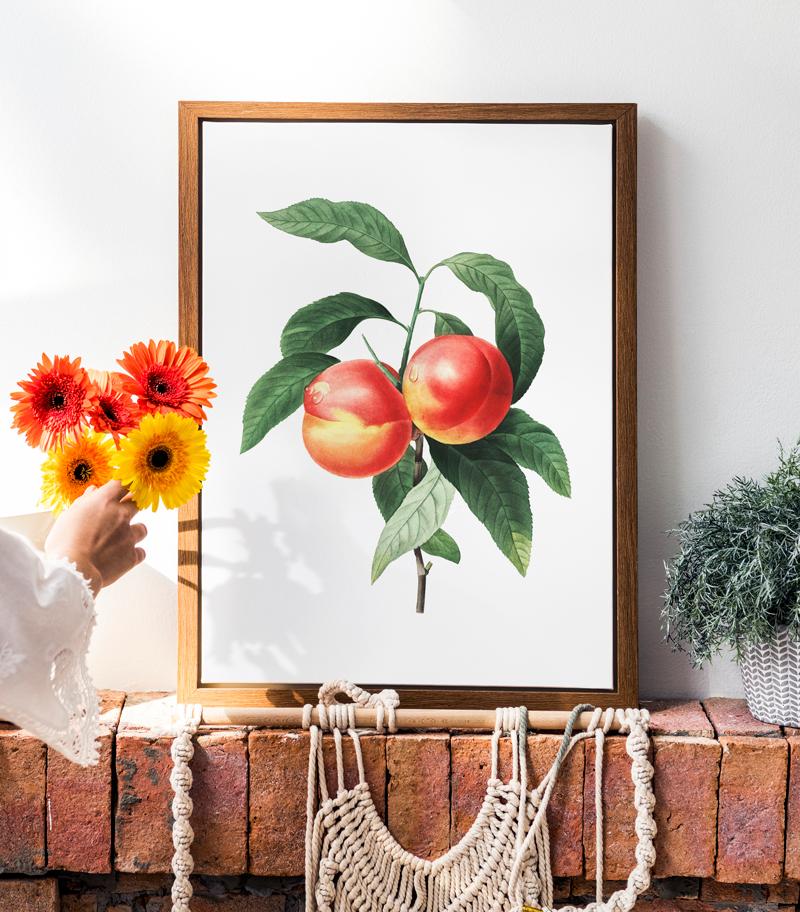 Peach Blossom Vintage Poster