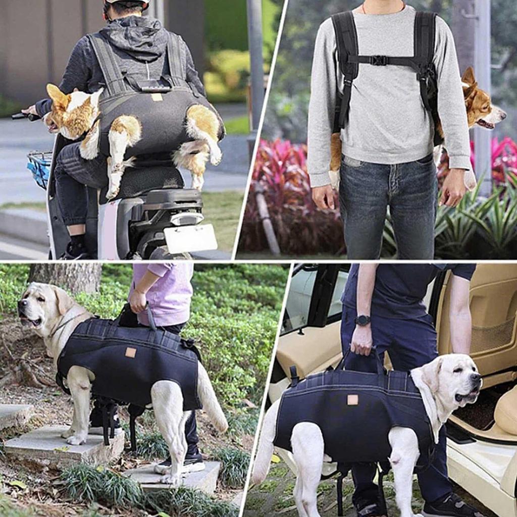 Senior Dog Harness Dogs Leg Support Breathable Adjusable Sling For Mobility Daily Walking Movement Senior Care Assisted Living