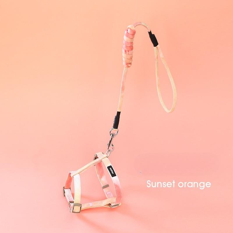 

Набор шлейки для кошки, регулируемая шлейка для питомца с защитой от побега для котенка, для прогулок на улице, ошейник для кошки, поводок, товары для питомцев S-22-30CM оранжевый