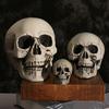 Halloween Skull Head Decor Plastic Realistic Human Skull Figurine for Graveyard Scene Haunted House Bar Home Table Decorations