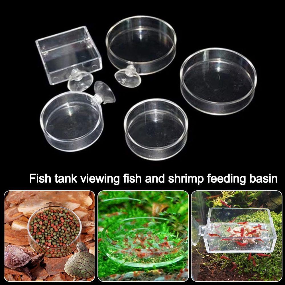 Acrylic Aerial Feeding Bowl Fish Shrimp Feeding Dish for Fish and Shrimp Aquariums