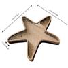 Creative Starfish-Shaped Display Box Wooden Multi-Function Star Piggy Bank Translucent Decoration Desk Organizer Home Decor