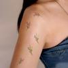 Tatuagens e arte corporal – Tatuagens temporárias