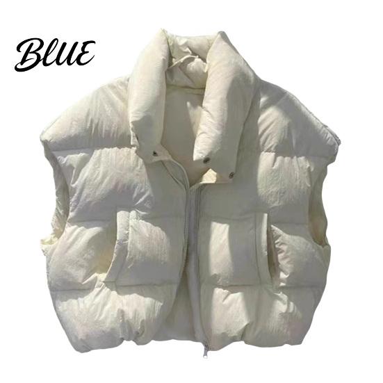 Simple Design Vest Waistcoat with Sleeveless Zipper Stand Collar Women Down Closure Winter Pockets Solid