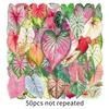 50 Colorful Cartoon Caladium Flower Stickers - Transparent Graffiti for Suitcase, Journal, or Desktop